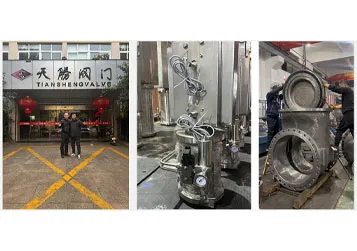 Knife-type and Rubber Lined Wedge-type Gate Valve Welcome Uzbekistan Customer Visit