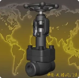 /Low temperature forged steel valve