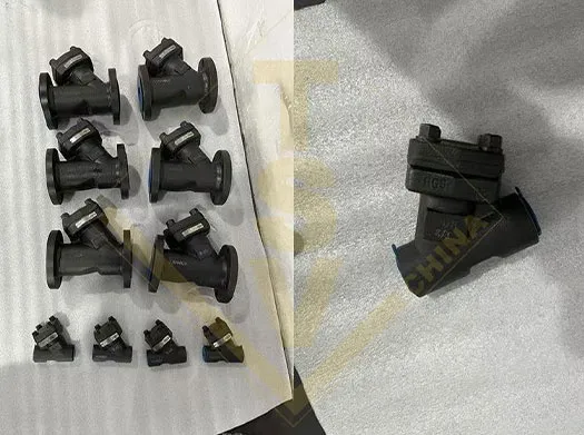 Forged Steel Y-Strainer CLASS 800