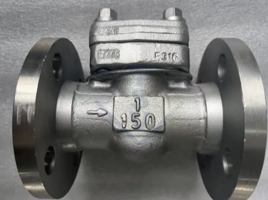 /Swing Check Valve