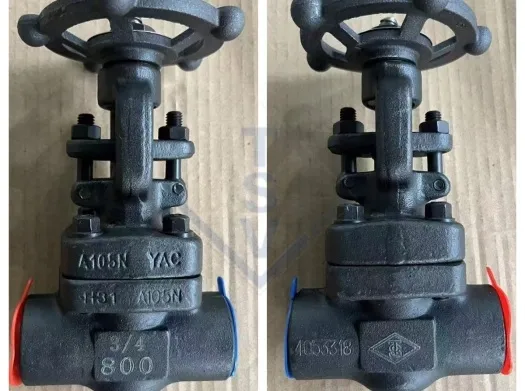 Forged Steel Gate Valve