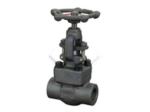 Thread End Forged Steel Globe Valve