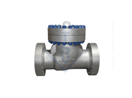 /Flanged Swing Check Valve