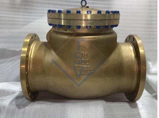 /Bronze Flange Check Valve