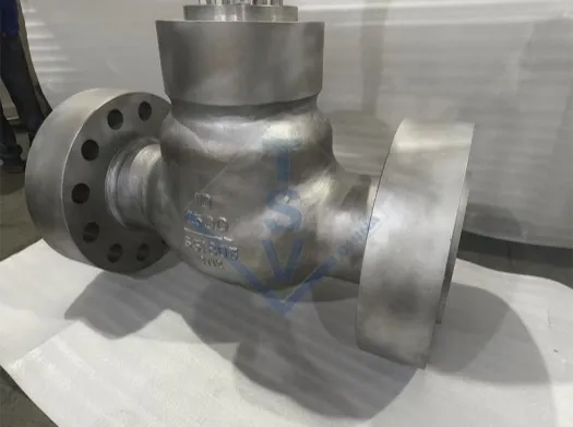 Pressure Seal Bonnet Type Flange Check Valve