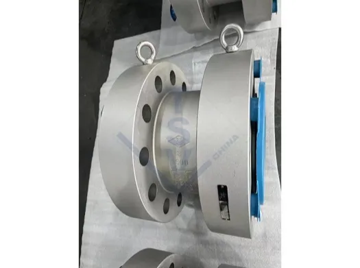 /High Pressure Stainless Steel Forged Check Valve