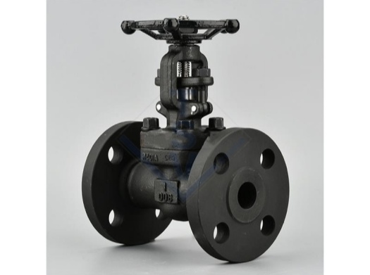 /Forged Steel Flange Gate Valve