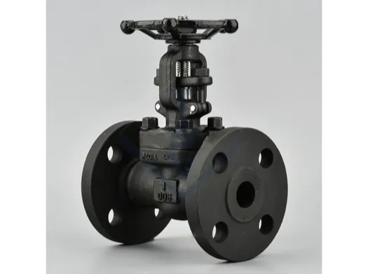 Forged Steel Flange Gate Valve