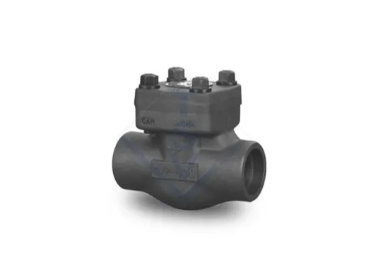 Forged Steel SW/NPT Check Valve