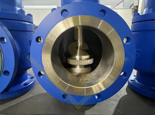 Spring Loaded Full/Low Lift Type Angle Safety Valve with Lever