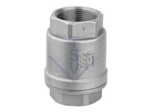 /2Pcs Vertical Thread Check Valve