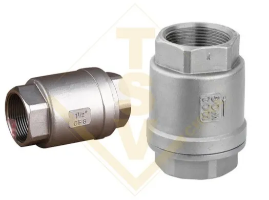 2Pcs Vertical Thread Check Valve