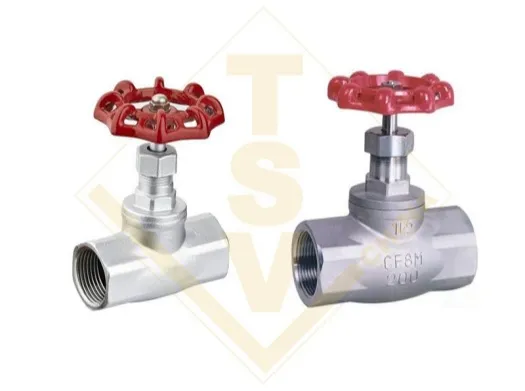 Small Size NPT Thread End CF8M Globe Valve