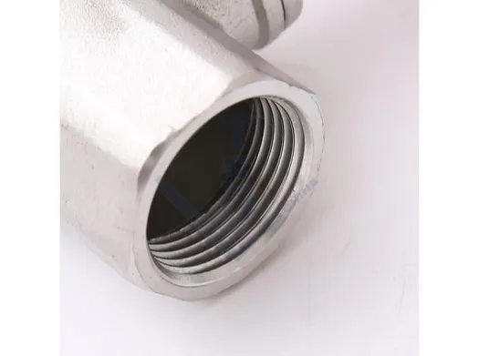 Small Size NPT Thread End CF8M Globe Valve