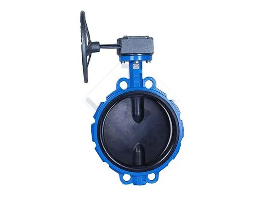 Soft Seal Butterfly Valve