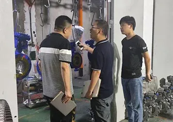 An authoritative third-party expert arrived, directly inspecting TSV processing technology flow