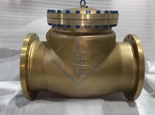 /Why Doesn't a Check Valve Need External Power or Control?
